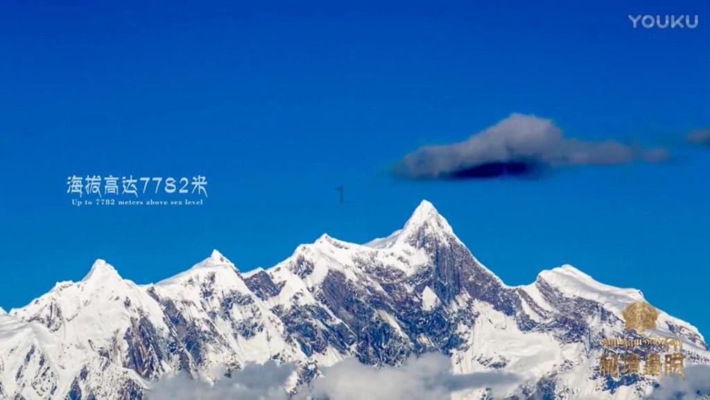 怎么做馒头呢?-专业的红迪网平台