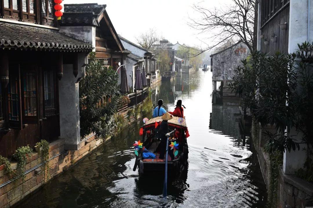 了解怎么判断猫携不携带狂犬病毒的知识星球平台